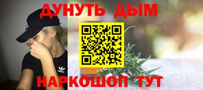 гидра Будённовск